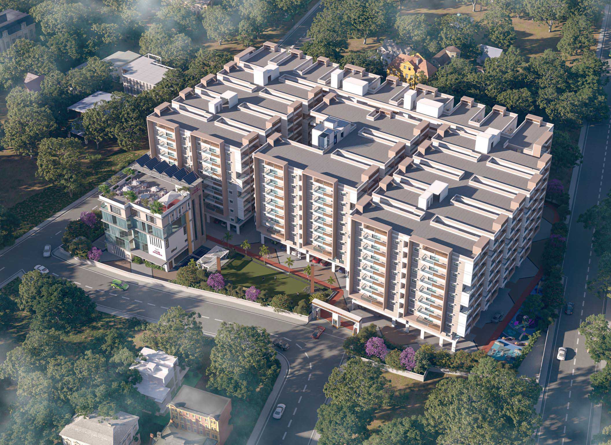 Ananda introduction image